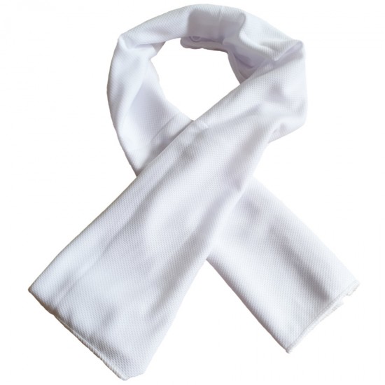 Cooling Towel Wit